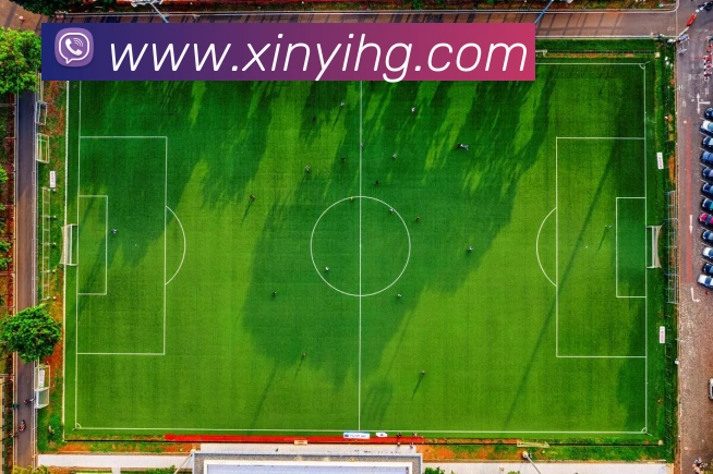 开云手机入口官方网站APP 封面图